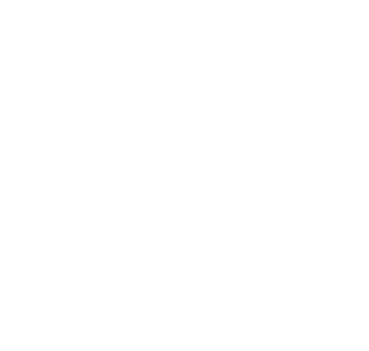 Alpe Gestion